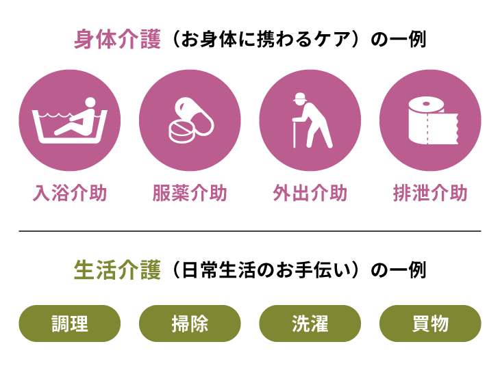 身体介護（入浴・服薬・外出・排泄介助）や、生活介護（調理・掃除・洗濯・買物）などを行います。